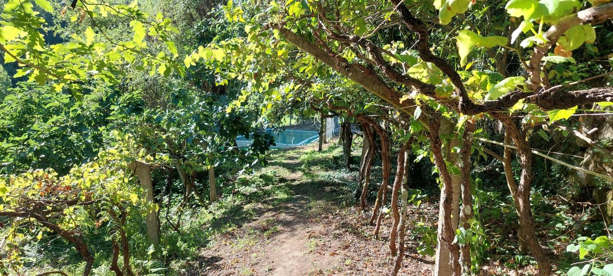 Quinta Dos Castros Douro Villa Baião Exterior foto