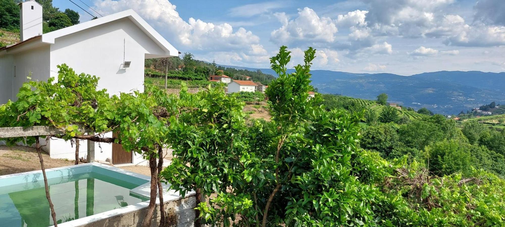Quinta Dos Castros Douro Villa Baião Exterior foto