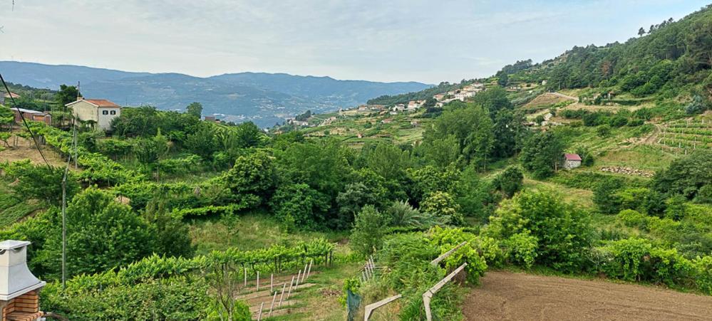 Quinta Dos Castros Douro Villa Baião Exterior foto