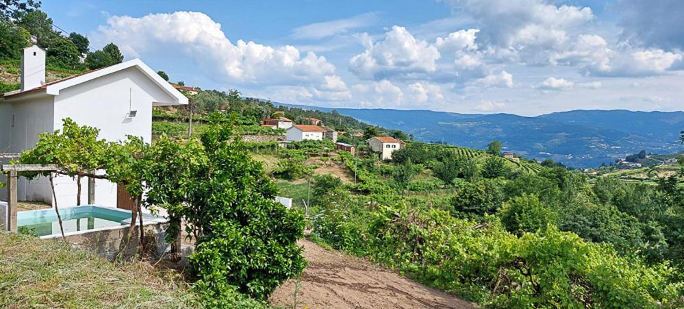 Quinta Dos Castros Douro Villa Baião Exterior foto
